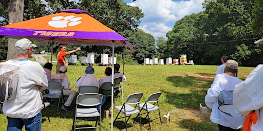 CLEMSON HIVE DIVE | Hopewell Road