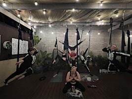 Open Aerial Gym | Pier to Point Yoga & Wellness Center
