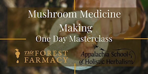 Mushroom Medicine Making Masterclass October | The Forest Farmacy