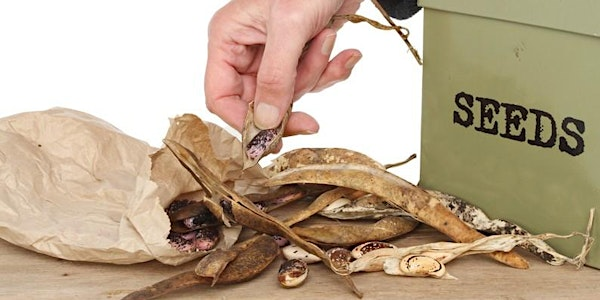 Saving Seeds! The Basics and Beyond | Compost Education Centre