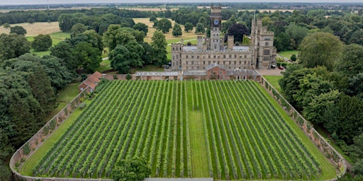 Vineyard Tour | Carlton Towers