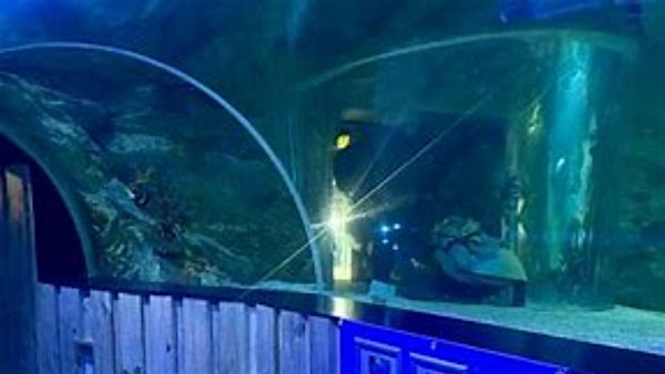 Southend-on-Sea SeaLife Adventure Tour (from Bristol) | Bristol Temple Meads Station