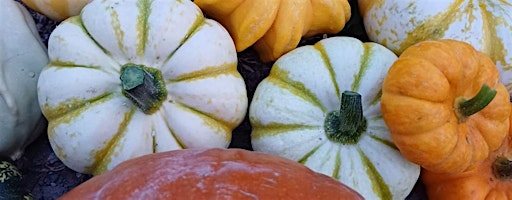 Parsons Pumpkin Picking Patch 2025 | Upper Farm
