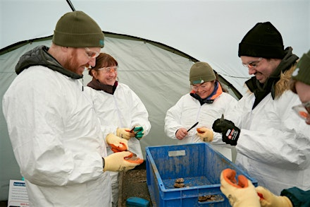Restoration Forth & DEEP Oyster Biosecurity | Heriot-Watt University Edinburgh Campus