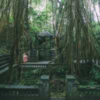 Monkey Forest, Bali