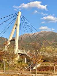 원주 가을산, 겨울산