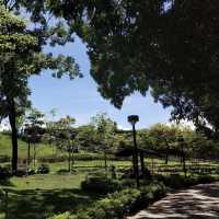 荔枝角公園