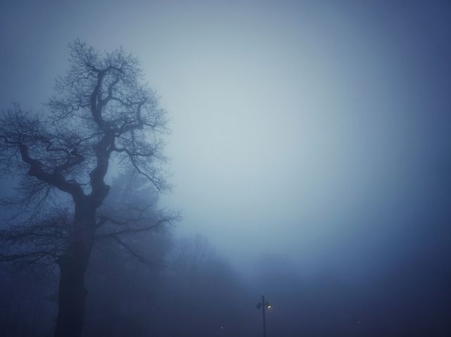 독일 니데르발트 기념비에서 몽환적인 풍경 즐기기