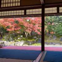 【京都】圓徳院｜北政所ねね ゆかりのお寺