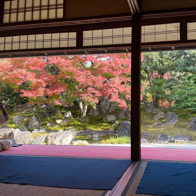 【京都】圓徳院｜北政所ねね ゆかりのお寺