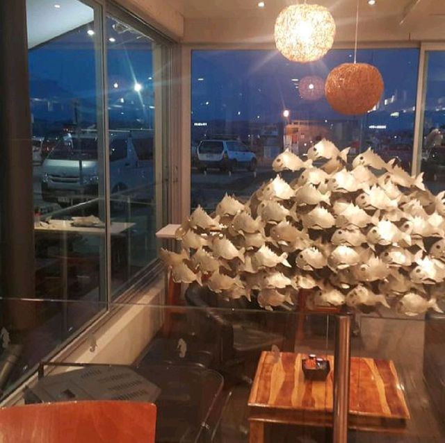 近距離看海👀🌊塔斯曼尼亞的荷伯特海港