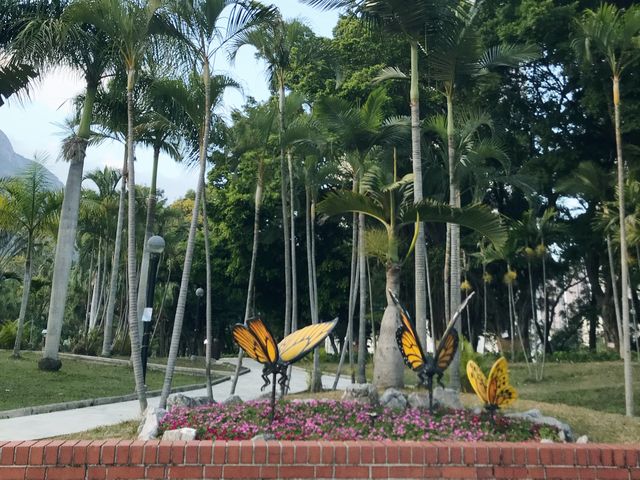蝴蝶灣公園