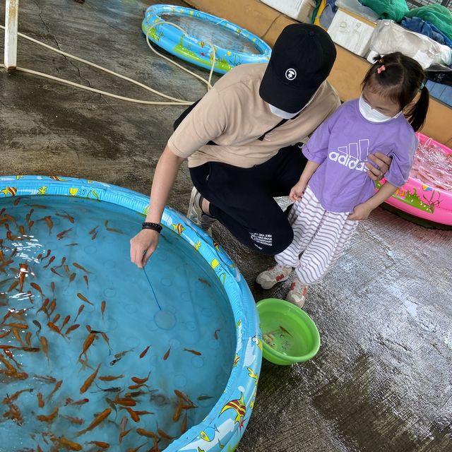 免費入場的小園地 📍天水圍