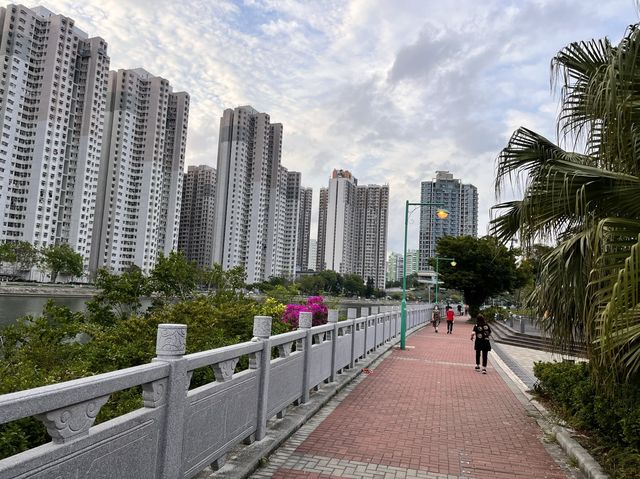 平靜的擁抱怒與哀樂