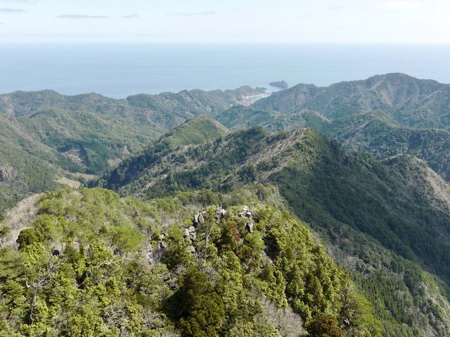 県天然記念物にも指定！奇岩「トカゲ岩」