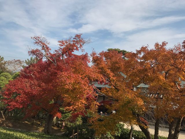 從MOA美術館看紅葉