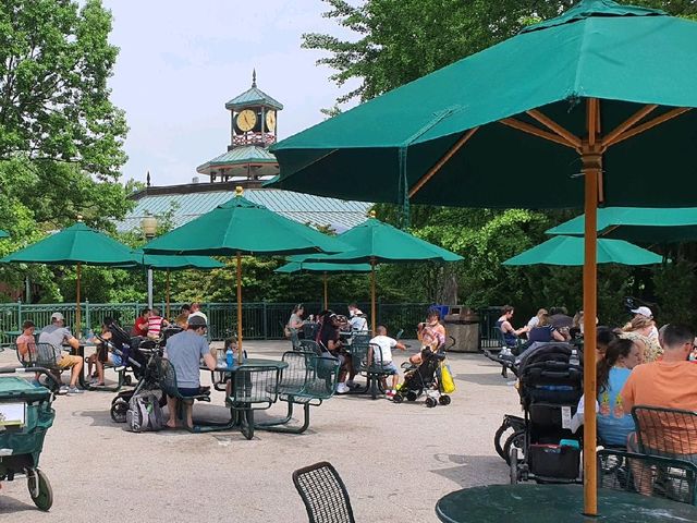 St. Louis Zoo (Ice Cream Oasis)