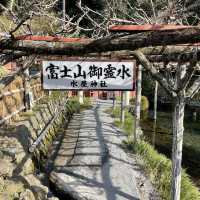 【静岡県】富士山をバックに富士山本宮浅間大社を参拝⛩