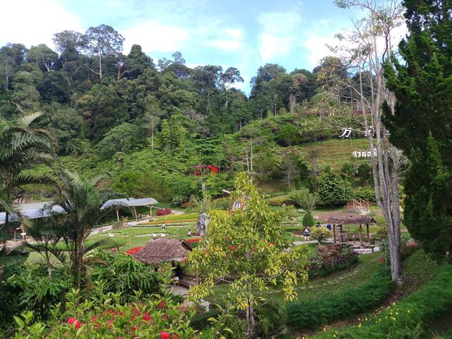 Betong Winter Flower Garden