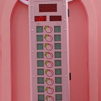 全港至大VLT夾公仔機