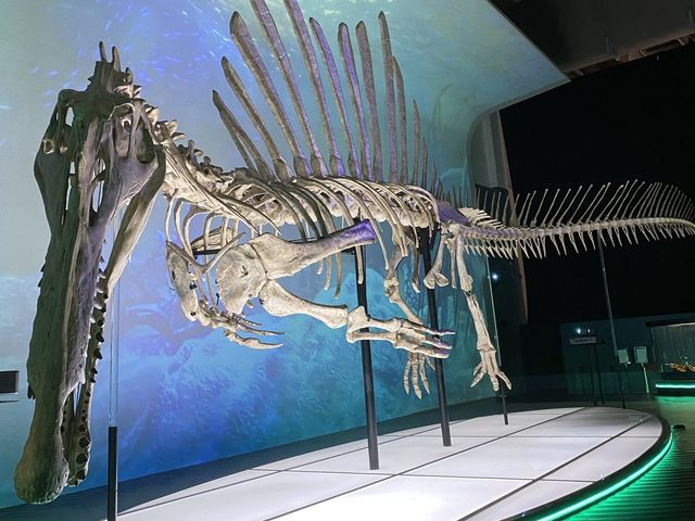 🦕八大．尋龍記🦖