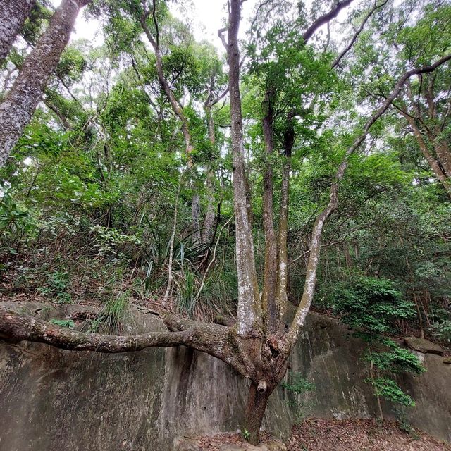靚景易行文物徑
