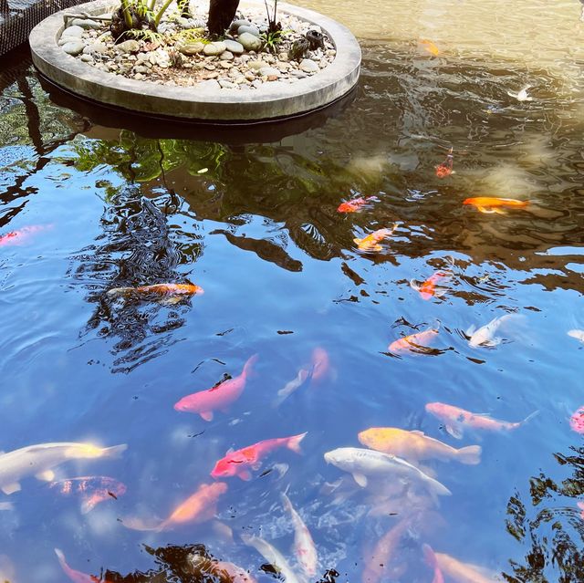 讓你認識能吃的香草｜原生應用植物園區｜被植物包圍的悠閒美景