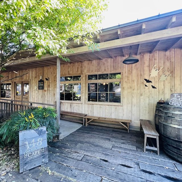 緑の森のカフェ！森の中にいるみたい