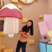 fairy sweet village