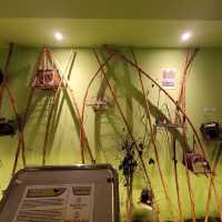 EXPLORING MINI CULTURE MUSEUM