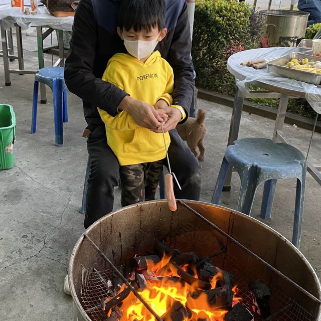 錦田鄉村俱樂部摘士多啤梨，燒嘢食