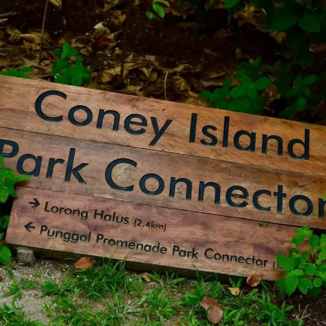 Coney Island Park Connector