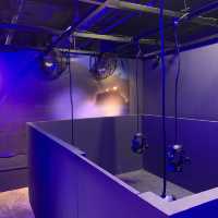 VR Arcade in Singapore?!