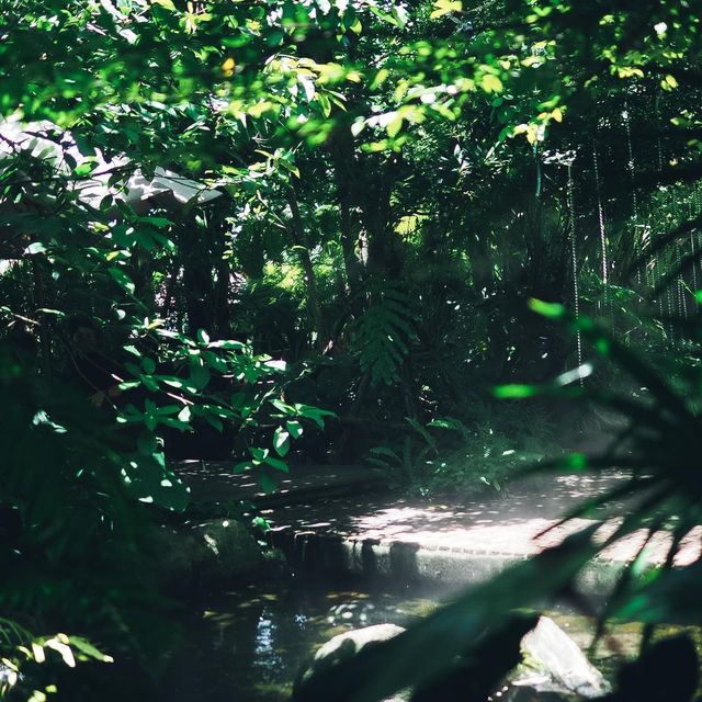  รีวิวคาเฟ่ : Foreste Café #คาเฟ่ย่านปากเกร็ด 