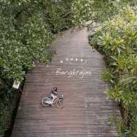  ไปปั่นจักรยานในสวน และขึ้นหอดูนกกัน #บางกะเจ้า