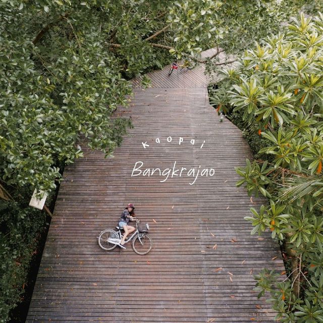  ไปปั่นจักรยานในสวน และขึ้นหอดูนกกัน #บางกะเจ้า