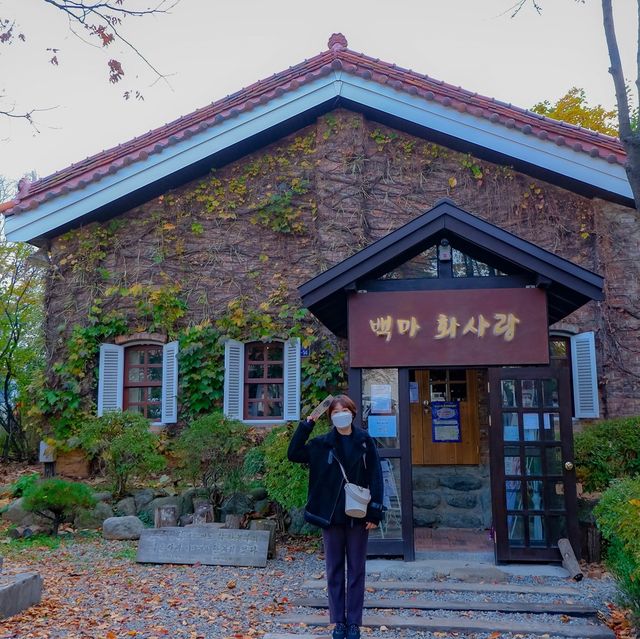 레트로 감성 가득 일산 백마화사랑
