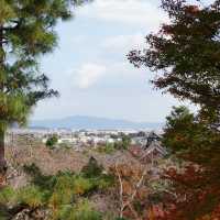 【京都】天龍寺