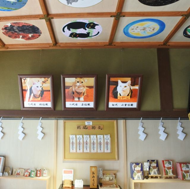 猫猫寺(開運ミュージアム?!)