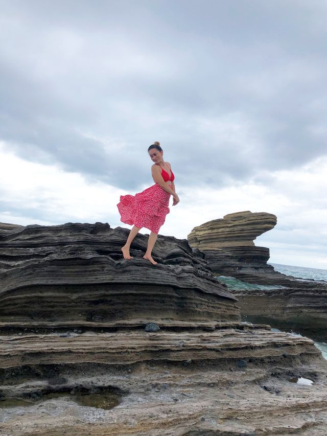 Animasola Island🏝