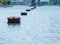 靚海靚景 荃灣海濱長廊