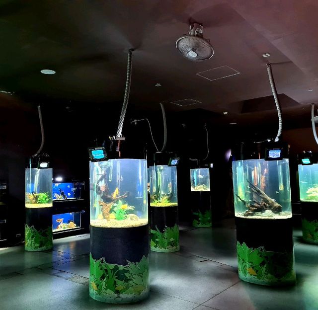 Phuket aquarium