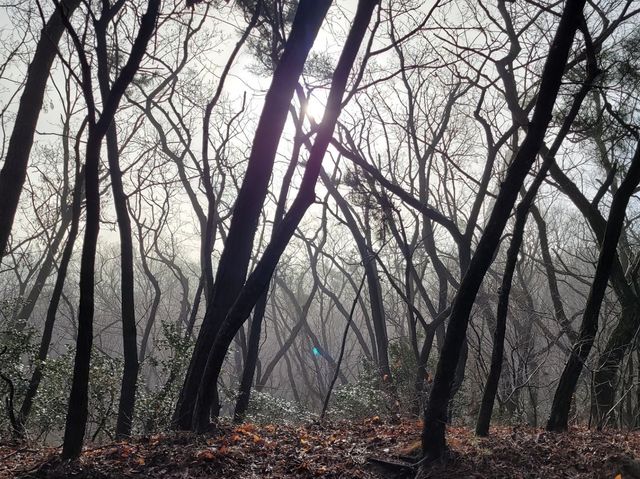 유달산 이등바위