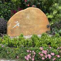 賞花好地方「蝴蝶灣公園」