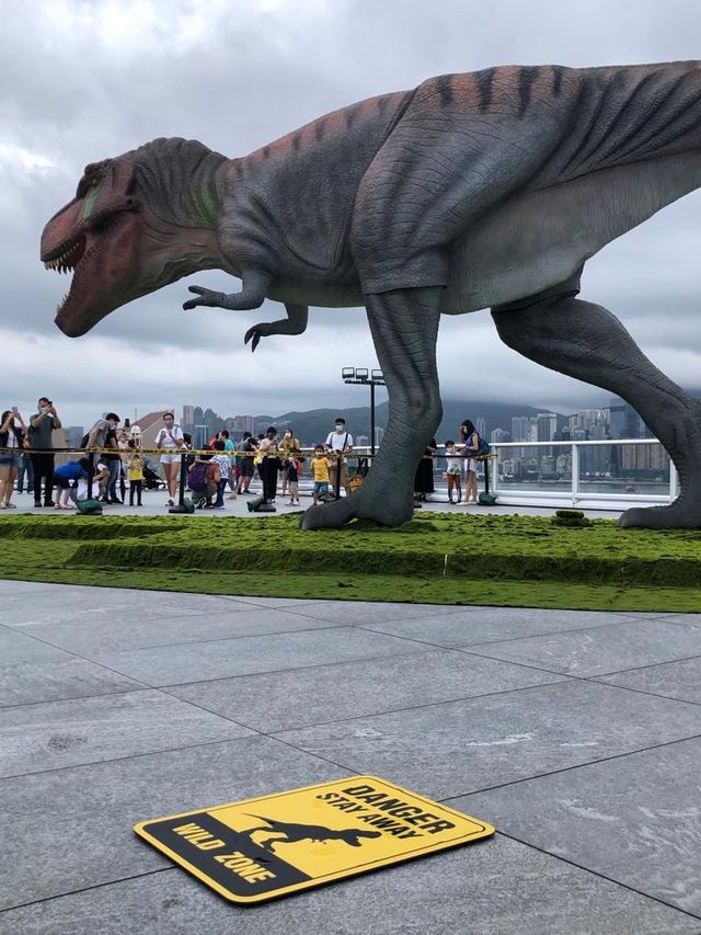 🦖恐龍出沒注意⚠️但係大人細路都鍾意😂