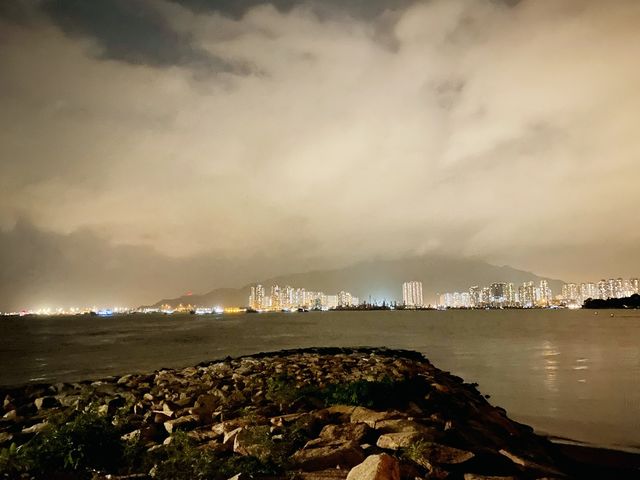 夜遊海豚廣場