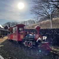 公園のテーマパークこどもの国