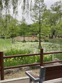 서울 장미 명소, 보라매공원으로 오세요!