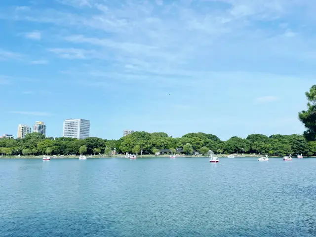 福岡散歩におすすめ！大濠公園！