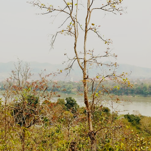 Nong Sa Keo Temple